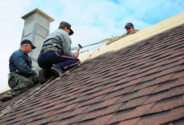 Best Best Roofing Contractors  in Cecil Bishop, PA